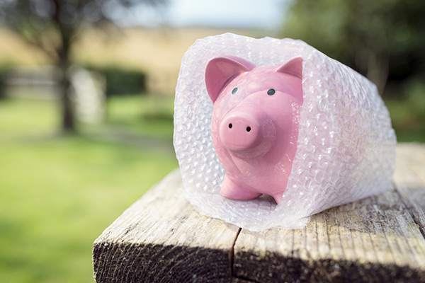 Piggy Bank Protected with Bubble Wrap Protecting Money